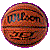 sportani.gif (8431 bytes)